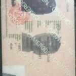 ID-Card-font1.jpeg